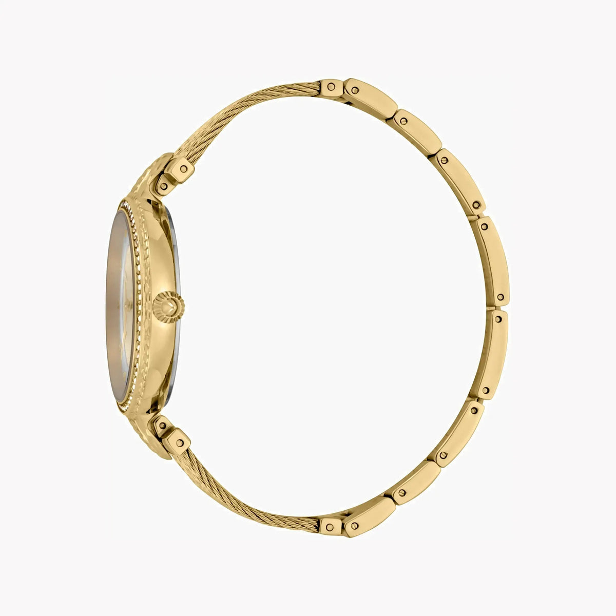 Just Cavalli Women's Gold Watch, Champagne Dial | Jc1l169m0025 by JUST CAVALLI