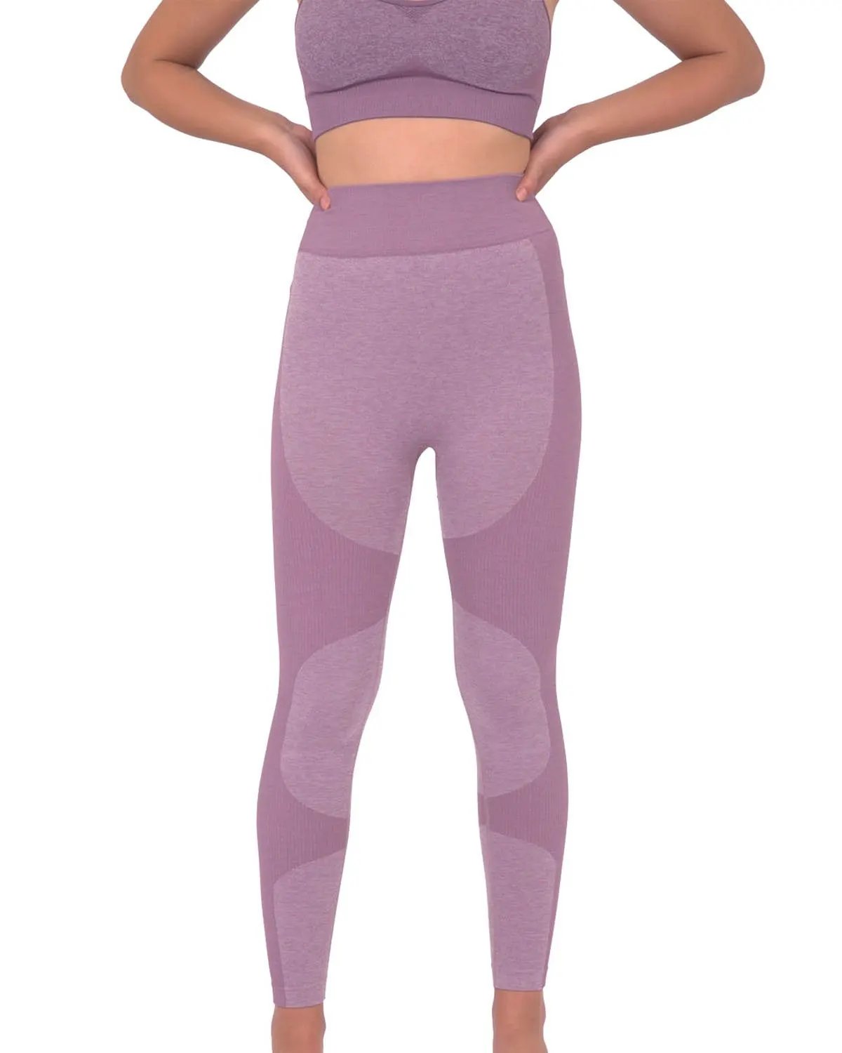 Megara Seamless Legging With Striped Panels - Purple by Savoy Active