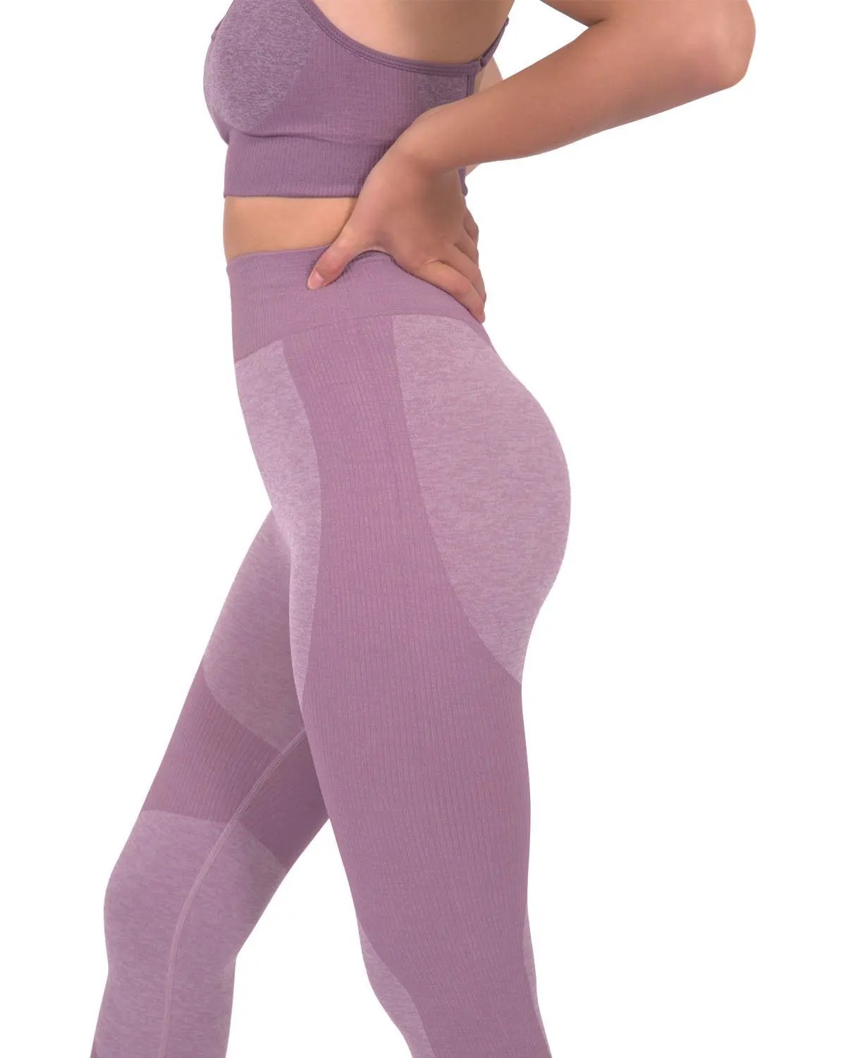 Megara Seamless Legging With Striped Panels - Purple by Savoy Active