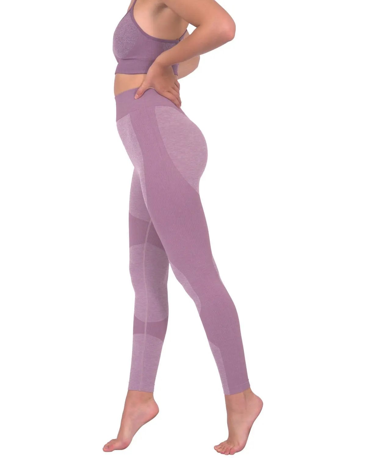 Megara Seamless Legging With Striped Panels - Purple by Savoy Active
