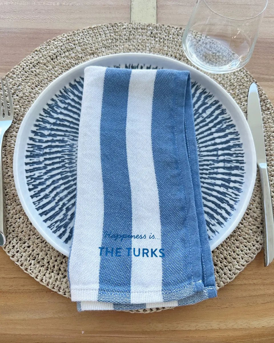 Custom Napkin, Striped Blue by Cottage Collection